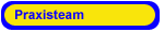 Praxisteam
